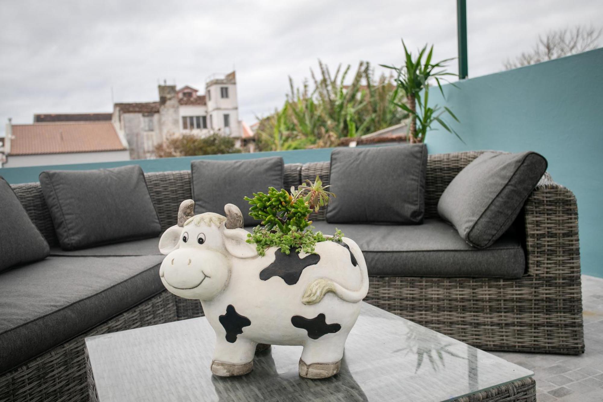 Francisco Terrace Lejlighed Ponta Delgada Eksteriør billede